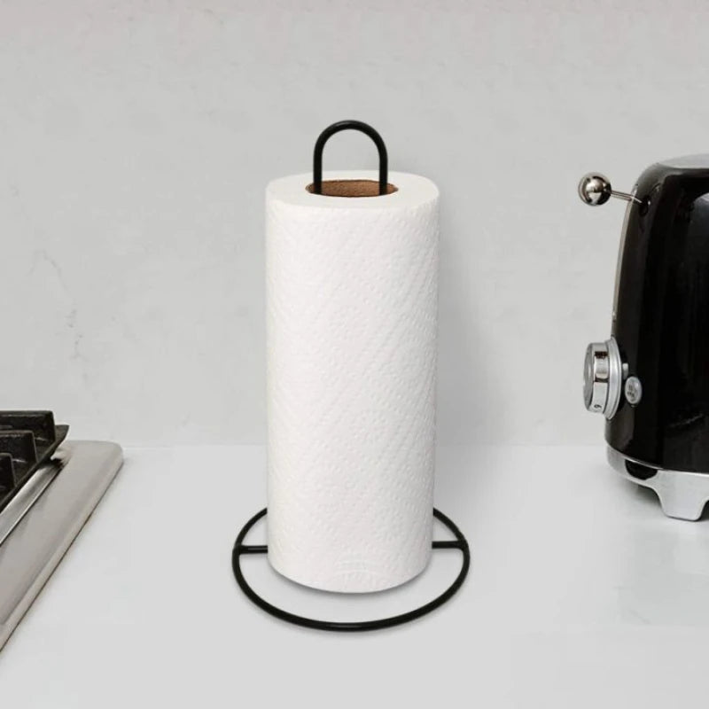 Stainless Steel Paper Towel Holder